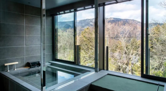 Люкс Premium Stylish Fufu Hakone