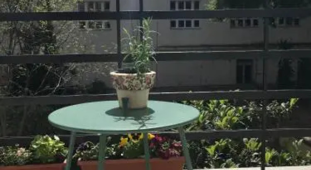 Regina Apartment, Prenota Appartamento Splitska 