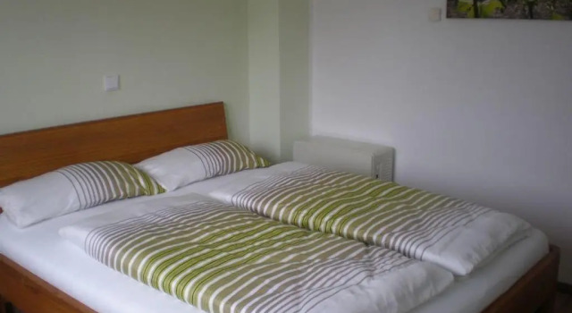 Holiday Home Weingut Mertes