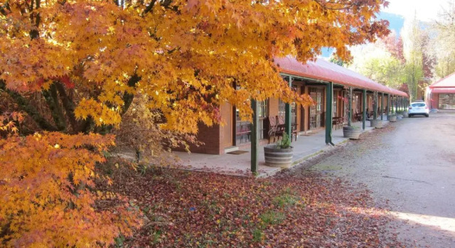 Номер Standard Snowline Motel
