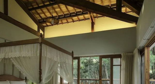Nine Trees Forest House