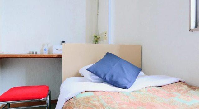 Одноместный номер Standard Green Business Hotel Hakui
