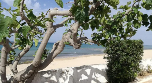 Апартаменты Dimora Grazia in Riva al Mare