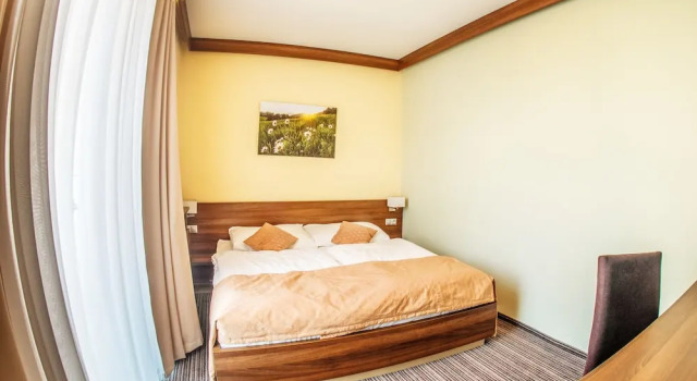 Номер Deluxe Alexandra Business Hotel
