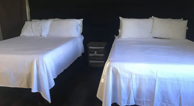 Люкс Classic Abacus Jamaica the Zana Suites