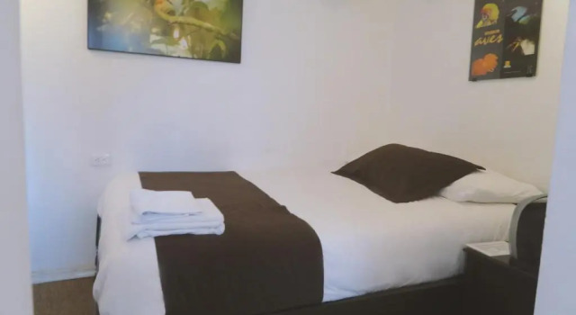 Номер Standard Bird Garden Guest House