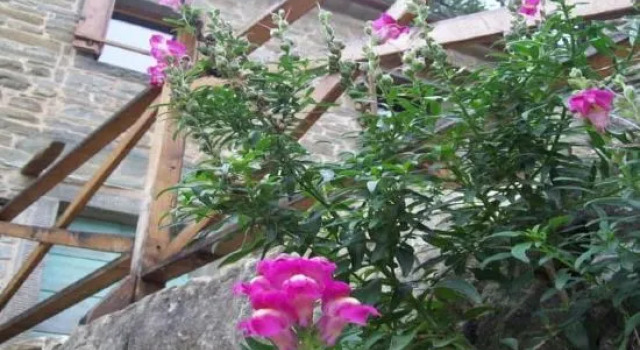 Pieve di Cà Maggiore, Забронировать Апартаменты/квартира Апартаменты Мугелло, Апартаменты/квартира