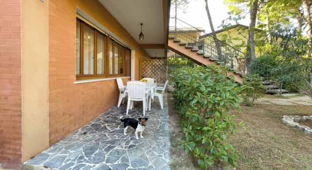 Relaxing Stay With Garden
