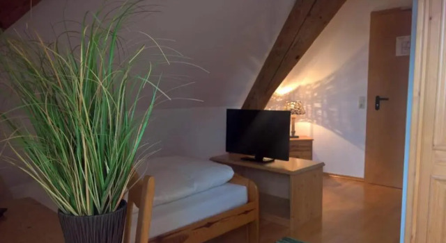 Standart oda Mettner Hof