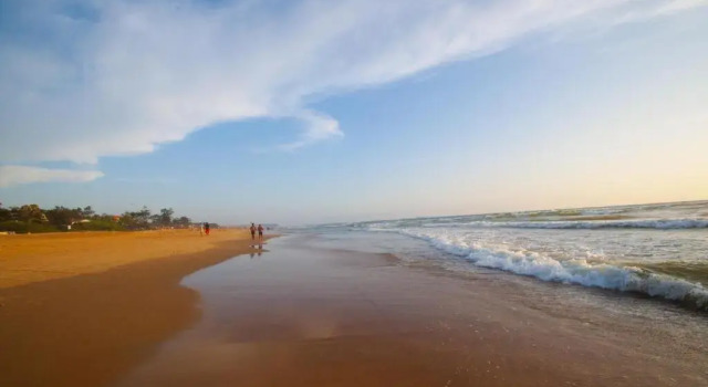 Palm view inn, Book Hotel Hotels in Goa with a Pool, Swimming Pool