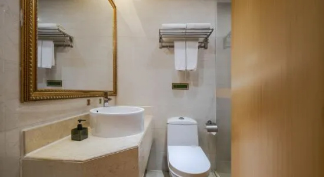 Люкс Vienna Hotel (Shenzhen Kejia Town)