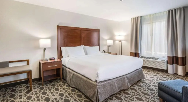 Номер Standard Comfort Inn & Suites Brevard North
