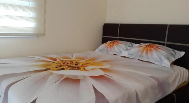 Апартаменты Apartmani Stijepovic