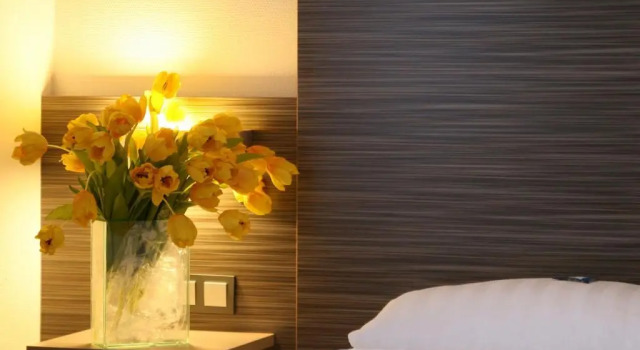 Одноместный номер Standard Hotel am Zoo