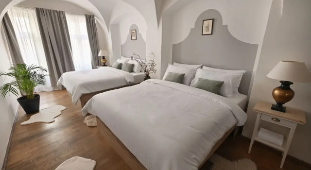 Habitación De lujo U Šuterů Boutique Hotel