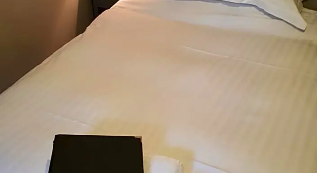 Номер Standard Dragon Inn