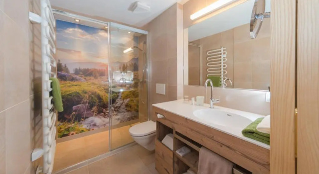 Номер Standard Hotel Schwaigerhof