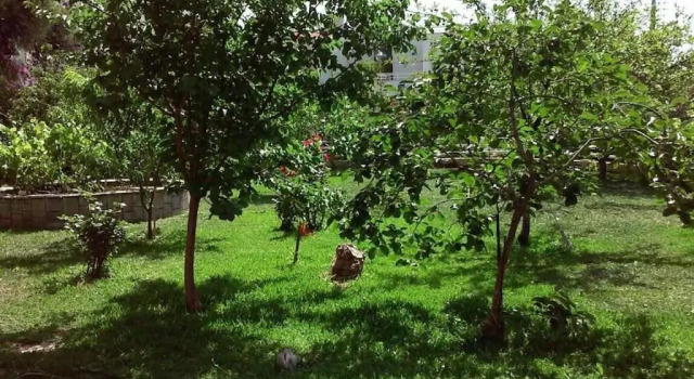 Sunny garden studio, Забронировать Отель Глифада Афины