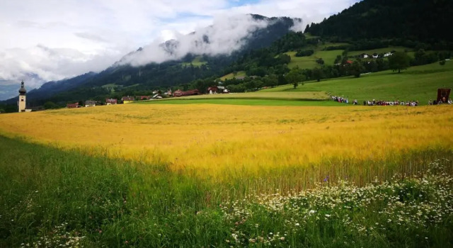 Апартаменты Ortnerhof
