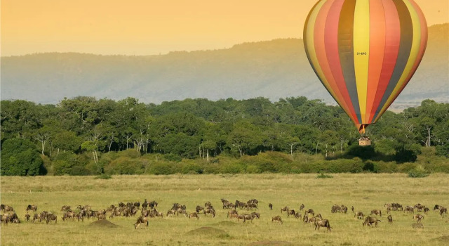 Kenya Safari – Kenya Classic Keekorok (6 Nights), Забронировать Отель Бизнес-отели Найроби Каунти, рядом с National Kenyan Investment Authority, 4* 5*
