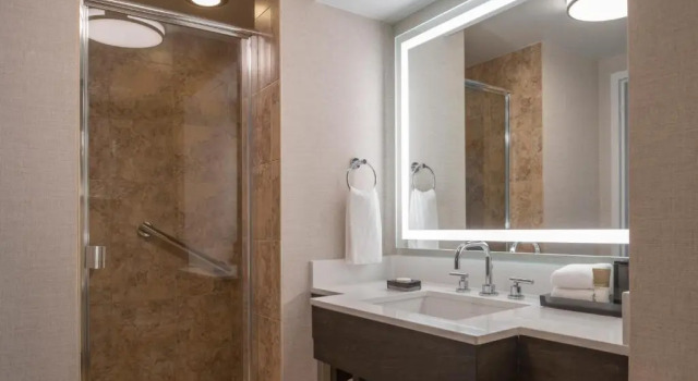 Двухместный номер with Runway View Hyatt Regency Orlando International Airport Hotel