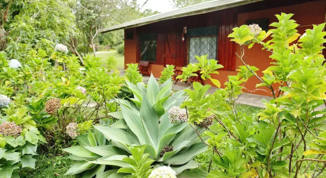 Двухместный номер Standard Cabañas La Pradera