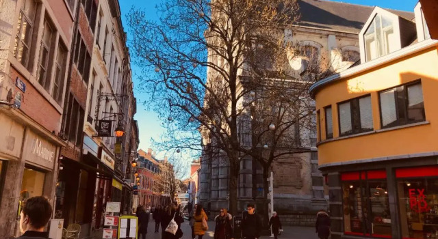 Апартаменты Appart 8 pers 10' à pied du centre:Le Savoie Namur