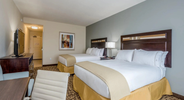 Двухместный номер Standard Holiday Inn Express & Suites Denver South - Castle Rock by IHG