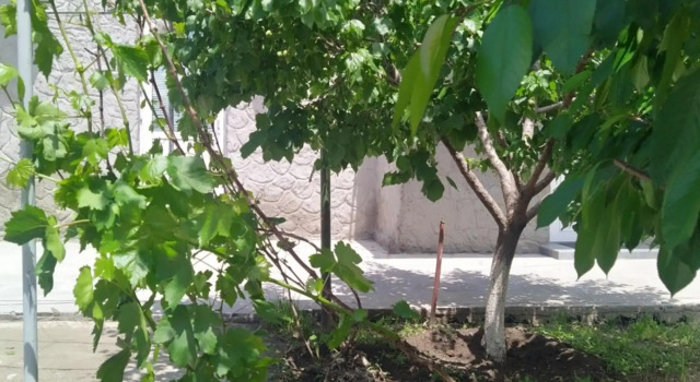 Vanand Guest House, Забронировать Гостевой дом Отели Гюмри с парковкой, Парковка