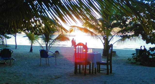 Whistling Bird Resort
