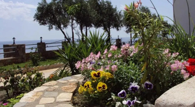 Студия Guesthouse Enastron