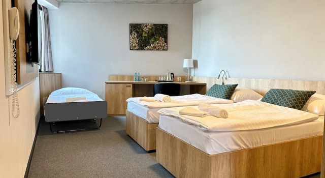 Трёхместный номер Standard Hotel D1
