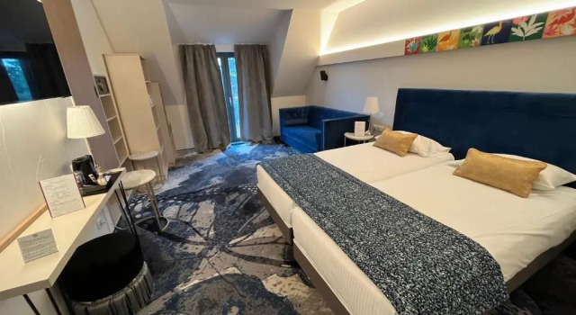 Номер Superior Brit Hotel, Spa & Restaurant - Colmar Est