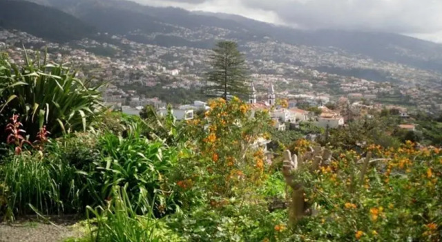 Vivenda Santo Antonio, Rezerwuj Apartament Santo António Funchal