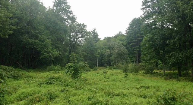 Tentrr - Clove Mountain Meadow, Buchen Sie Ferienwohnung High Falls  (See) Ulster County