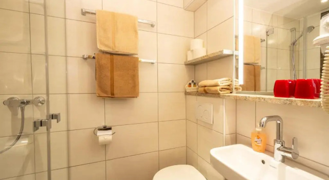 Двухместный номер Deluxe Boutique Hotel Angerer