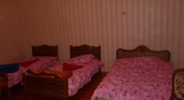 Olga Hostel