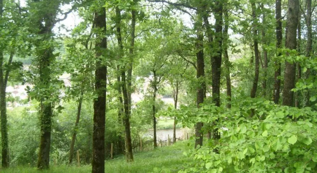 Mon Gîte en Périgord