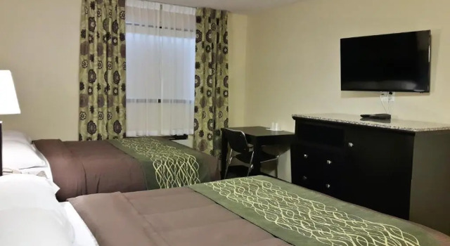 Четырёхместный номер Standard Lacombe Motor Inn