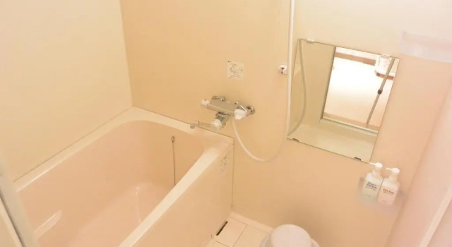 Трёхместный номер Standard Hotel 2135