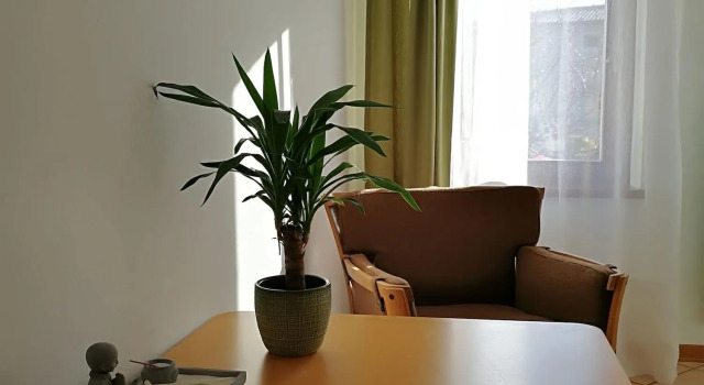 B&B Pontesello, Prenota Bed & breakfast Hotel economici a Veneto