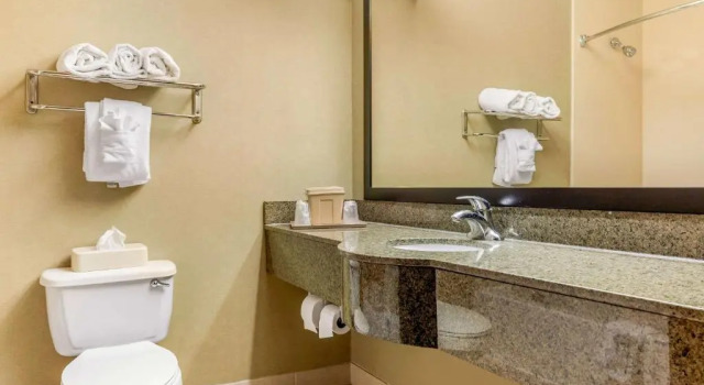 Люкс Quality Suites Sherman