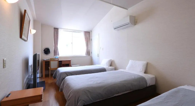 Трёхместный номер Economy Shinnishiki Hotel