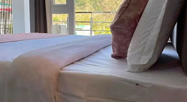 Hotel Wraveler Inn, Rezervovat Hotel Rišikéš Uttarakhand