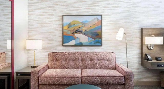 Одноместный номер Standard Home2 Suites By Hilton Phoenix Avondale, Az