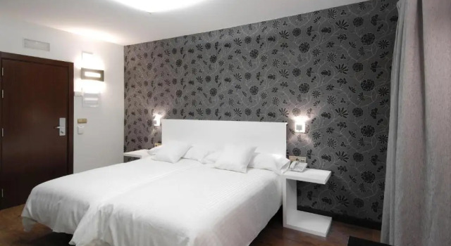 Двухместный номер Standard Hotel Cienbalcones