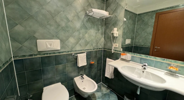 Двухместный номер Economy Euro Hotel