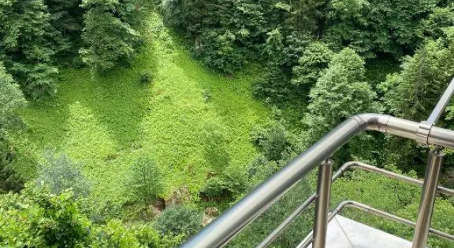 Fairytale Nature House - Uzungöl