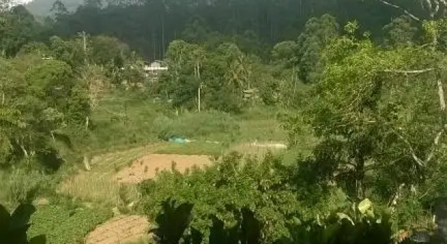 Ella Breeze Homestay