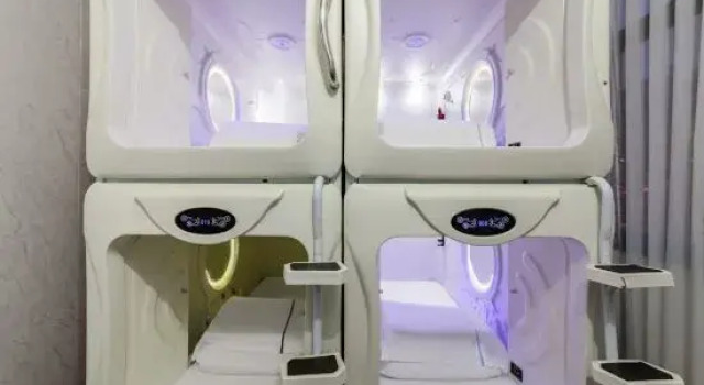 Номер Standard Eagle Tree Capsule Inn